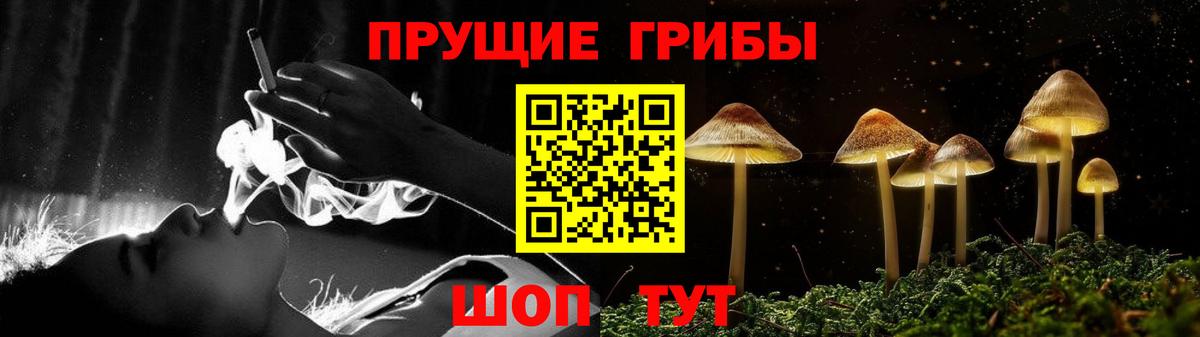 Псилоцибиновые грибы мухоморы Магнитогорск